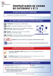 Propriétaires_Chiens-infographie